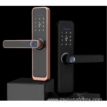 Smart WiFi Door Lock with Fingerprint & Password Access